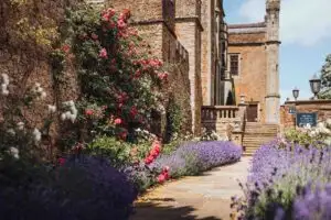 Stone garden path beside a historic castle wall, lined with purple lavender and vibrant red climbing roses, leading toward steps and the entrance of the building on a sunny day.