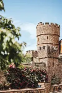 Stone castle tower with crenellations rising above ivy-covered walls and blooming rose bushes, set against a clear blue sky in the grounds of historic Rowton Castle.