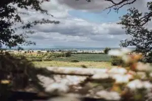View of green farmland and fields in the distance, framed by tree branches and a blurred stone wall in the foreground, with a wide cloudy sky above the rural landscape.